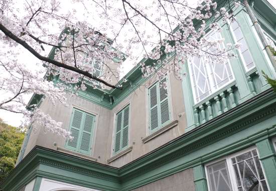 ハンター邸と桜