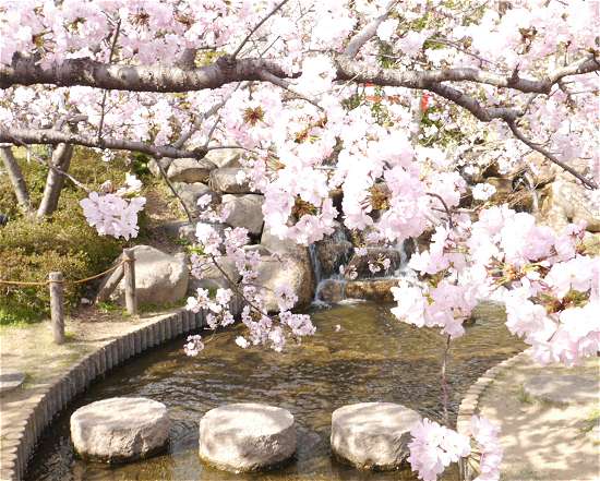 桜守公園　川