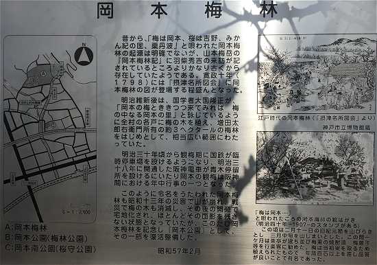 岡本梅林公園の歴史
