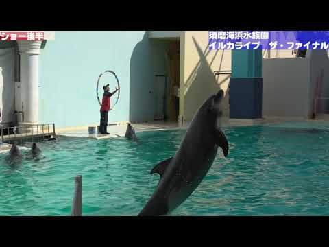 須磨海浜水族園イルカショー　ファイナル