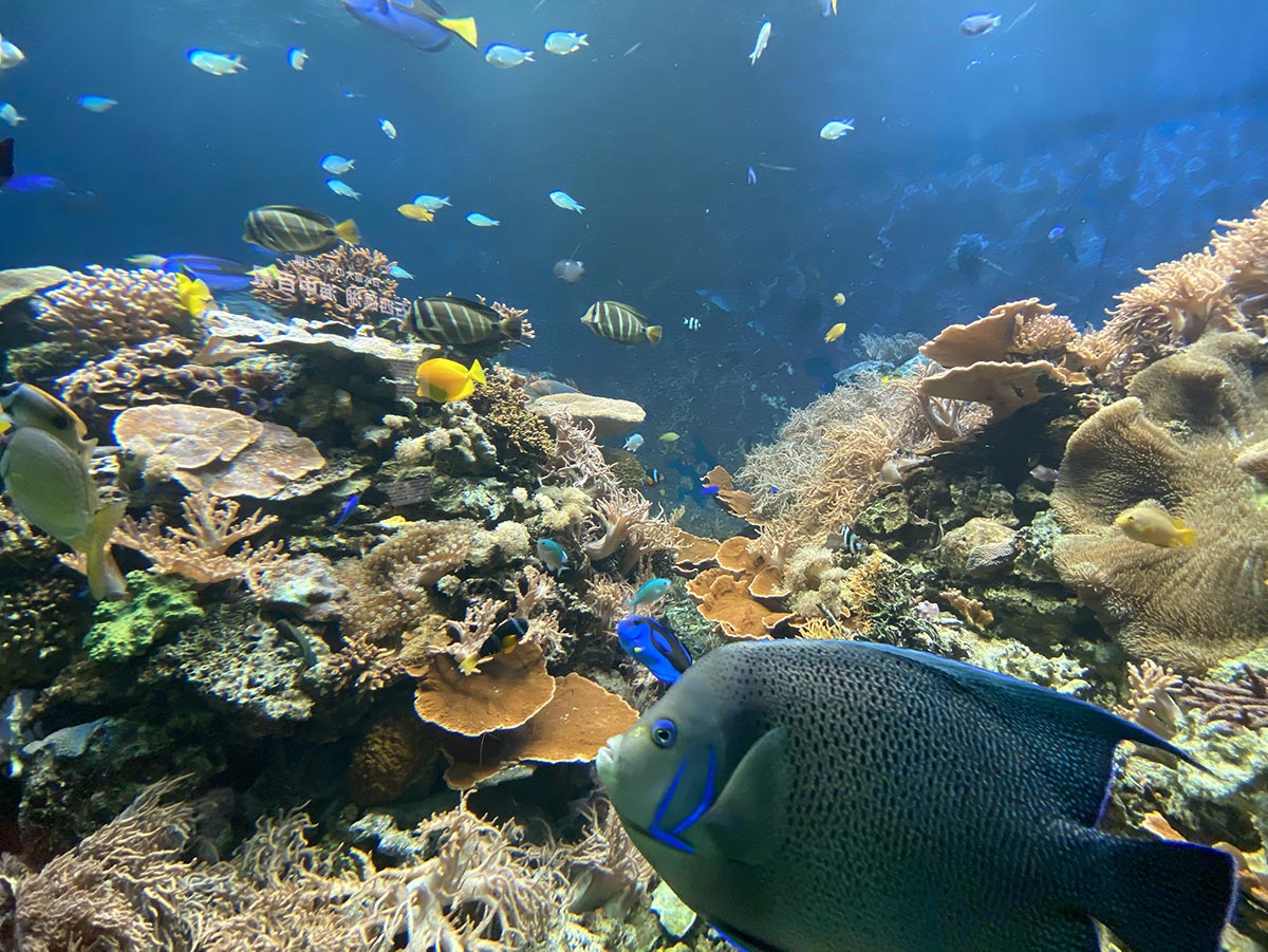 須磨海浜水族園　本館